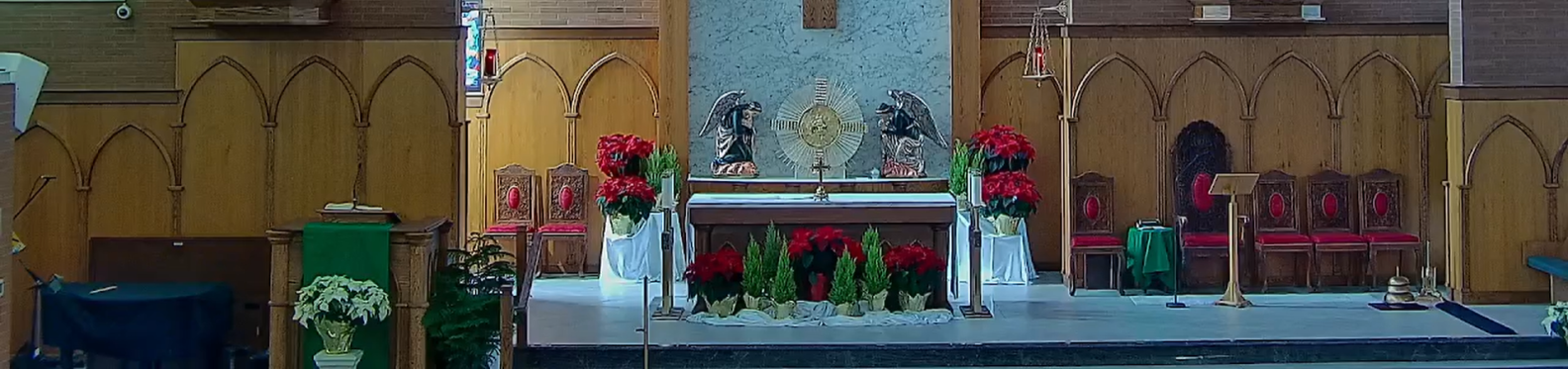 SFX Ordinary Time Altar January 2026